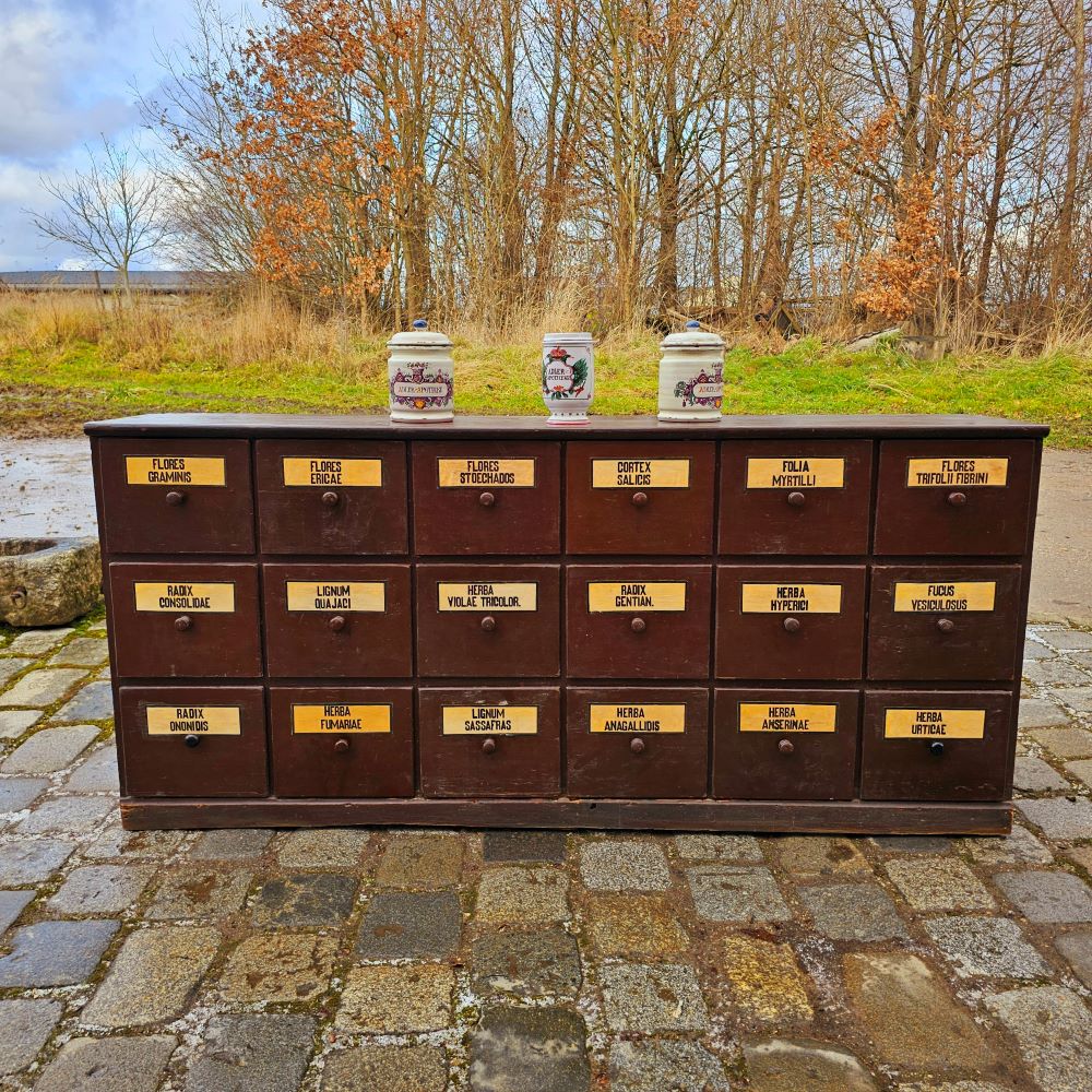 Alter antiker Apothekerschrank Apothekerkommode Schubladenschrank Adlerapotheke Erlangen- 199